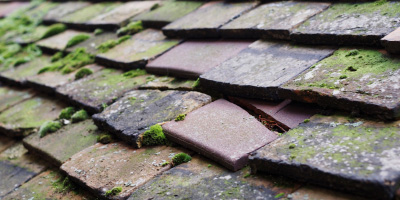 Seaford roof repair costs